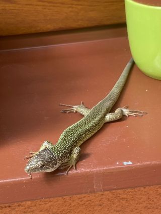 Návštěva na vzorek 😀