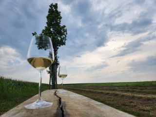 Být či nebýt 😎