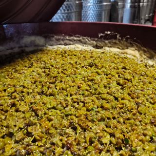 Tak nám to začalo, #irsaioliver na burčák 😉😎