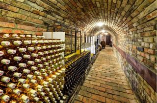 Podzimní nabídka vín Vážení a milí přátelé Dovolte, abychom Vám nabídli novinky z našeho sklepa. Letošní vinobraní je...