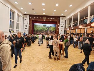 Festival mladých vín ... Jedeme bombičky
